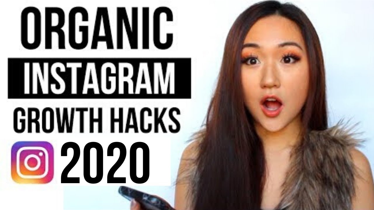 How to Get Free Instagram Followers Daily