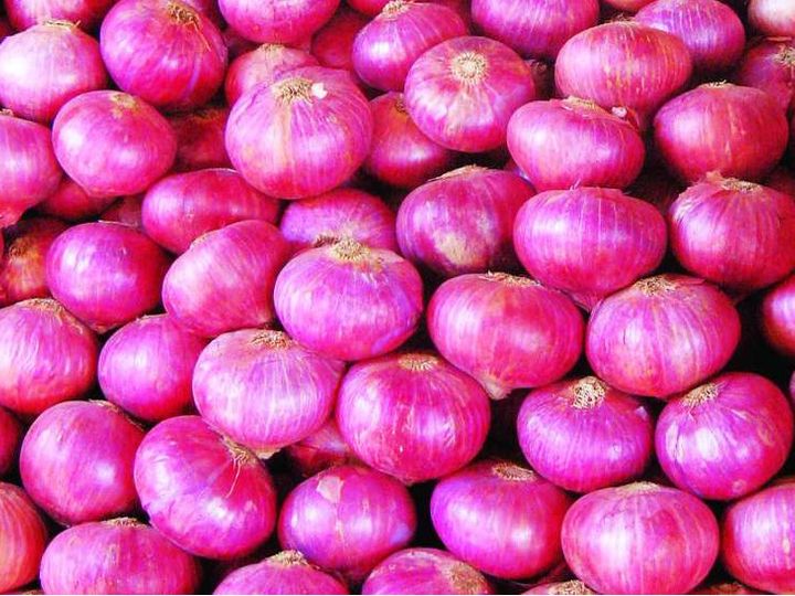Onion Farming Business In Nigeria