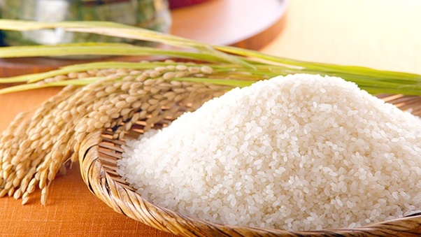 Tips To Start Rice Wholesale And Make Huge Profit