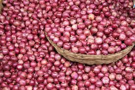 How To Start Onion Farming Business