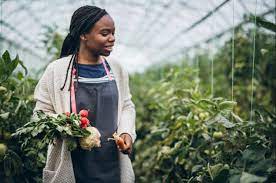 Most Lucrative Agricultural Business Ideas In Nigeria