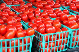 Tomato Farming In Nigeria