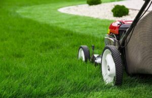 How To Start A Landscaping Business With No Experience And Become Successful
