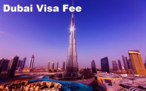 How Much is Dubai Visa Fee