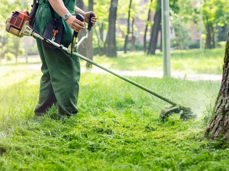 How To Start A Landscaping Business With No Experience And Become Successful