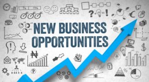 Business Opportunities in Nigeria