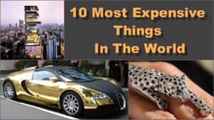Most Expensive Thing in The World