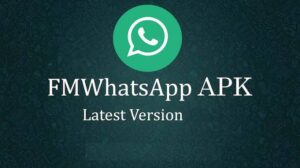 FM Whatsapp Download