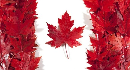 Land Of The Maple Leaf