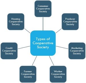 Types Of Cooperative Society